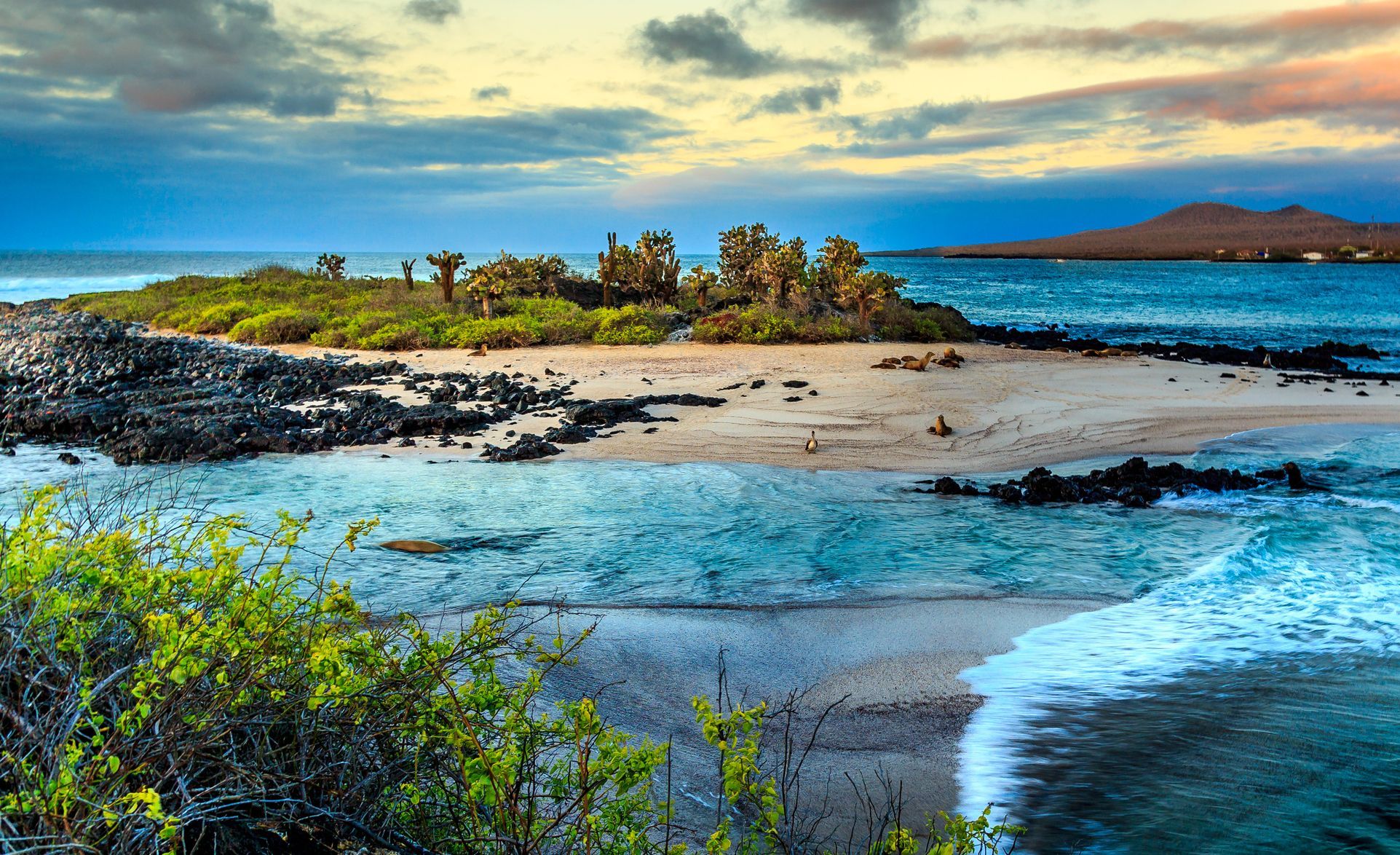 Galapagos scenery